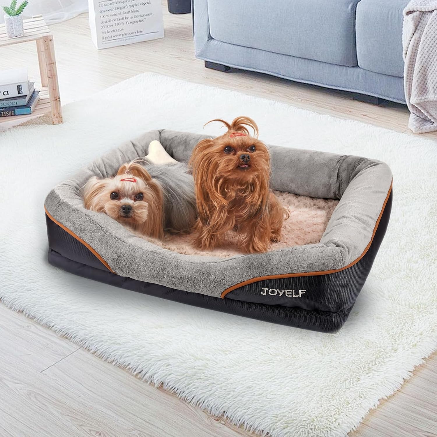 CloudComfort Large Memory Foam Dog Bed - Orthopedic Sofa with Removable Cover & Free Squeaker Toy